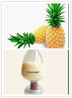 China Pineapple Extract / Bromelain