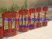 single bow and double bow spring casing centralizer