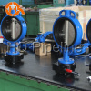 Cast iron butterfly valve