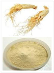 Ginseng Extract (China Kingherbs)