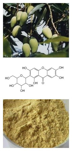 Mango Leaf Extract (China Kingherbs)