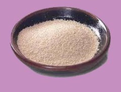 Instant Dry Yeast Powder