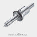 Stainless Steel Slotted Shoulder Ball Screw