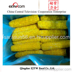 frozen sweet corn on the cob