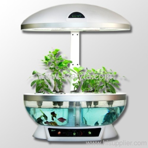 Smart home environment fresh functional diversification stands in one of the fish to grow vegetables smart garden