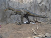 4m long vivid moving dinosaur toy