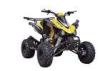 Kandi Four Wheelers Sport Utility ATV Mid Size For Adult With EEC