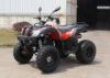 Mini Motor EEC Racing ATV With One Seat And Double Swing Arm