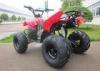 Automatic Kids Mini Quad Bike