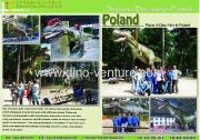 Dinosaur Discovery - Poland