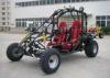 250CC Automatic Dune Buggy