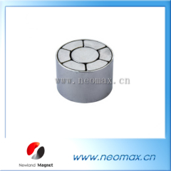 Permanent motor magnet assembly