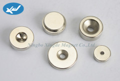 steady performance sintered magnets