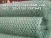 Chicken Netting Hexagonal Wire Mesh