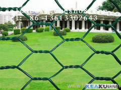 PCV coated hexagonal wire mesh