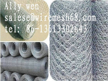 Hexagonal Twisted Wire Mesh