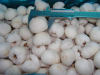 New Crop Frozen Iqf Lychee Whole