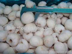 New Crop Frozen Iqf Lychee Whole Frozen Iqf Lychee