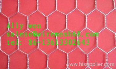 hexagonal double twisted wire mesh