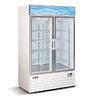 Eco Friendly Commercial Refrigerator Freezer For The Home With Energy Efficient
