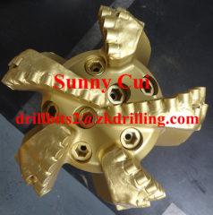 Diamond Bit PDC BIT Steel body PDC BIT E6 USS