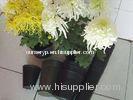 HDPE Nursery Growing Pots black , outdoor and flexible for flowers