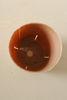 Biodegradable small growing flower pots , Brown PE transplanting pot