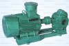 Electric Gear Oil Pump For Diesel And Gasoline Transfer With Rotary Gear Pump