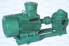 Electric Gear Oil Pump For Diesel And Gasoline Transfer With Rotary Gear Pump