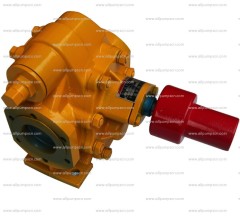 Rotary Gear Pumps/Gear Oil Pump