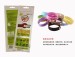 Pure natural MOSQUITO REPELLENT bracelets BUGSAWAY brand Korea popular bracelets baby drive midge