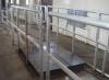 Slaughtering machinery cattle weighing scale