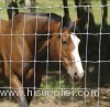 Farm Cattle Netting Fence