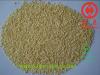 Chinese Dehydrated Garlic Granules 16-26 Mesh