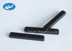 Epoxy coated strip magnets strong magnet NdFeB magnet Neodymium magnet