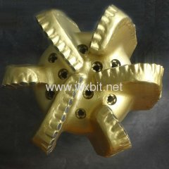 pdc petroleum drill bit