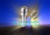 Fuel Engine Injection Nozzle DLLA154P206