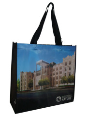 Grocery pp laminated non woven bag