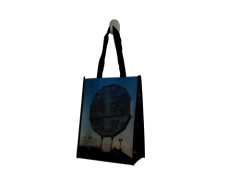 PP laminated non woven tote bags