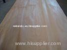 Rotary Cut 0.3mm Peeled Agathis Veneer Natural For Block Board