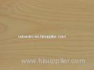 Natural Sliced Golden Birch Wood Veneer 0.5mm , 1200mm - 2800mm