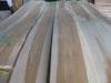 Sliced Natural Discolored Birch Wood Veneer Crown Cut For Door Skin