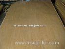 Peeled Rotary Cut Birch Veneer , Decorative Face Veneer For Door Skin