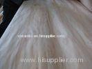 Natural Radiata Newzealand Pine Rotary Cut Veneer Wild Grain For MDF