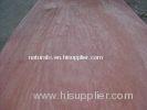 0.45mm Bintangor Rotary Cut Veneer Wild Grain For Plywood , MDF