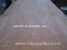 0.3mm PLB Red Cedar Rotary Cut Veneer , Decorative Face Veneer