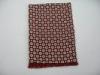 2013 Fashion Lady Pashmina Silk Pashmina Scarf Of Rectangle