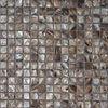 4mm Nature Pearl Sea River Shell Mosaic Tile for Decoration, Mesh Backing