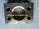 Forged Steel ANSI Flanges