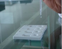 Trichinella spirali rapid test